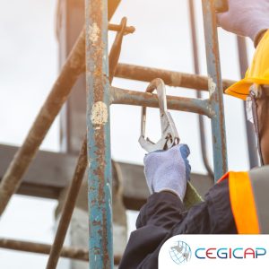 SEGURIDAD Y PROTECCION DE INSTALACIONES