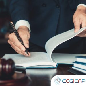 DERECHO CONSTITUCIONAL