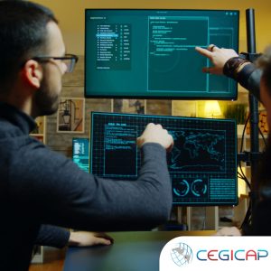 DIRECCIÓN Y GERENCIA EN SEGURIDAD