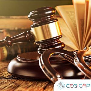 NUEVO CÓDIGO PROCESAL PENAL