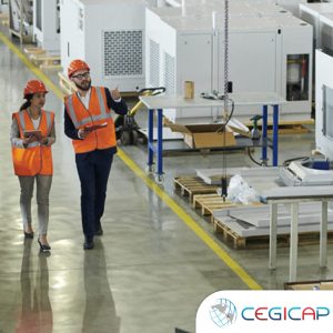 Ingeniería de la Calidad