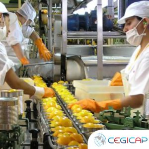 INDUSTRIA ALIMENTARIA