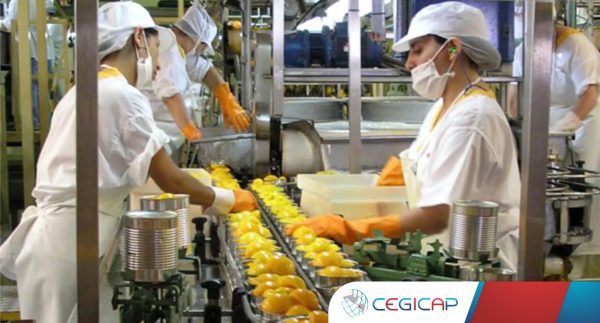 industria-alimentaria