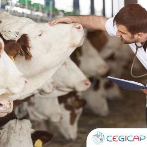 NUTRICIÓN VETERINARIA