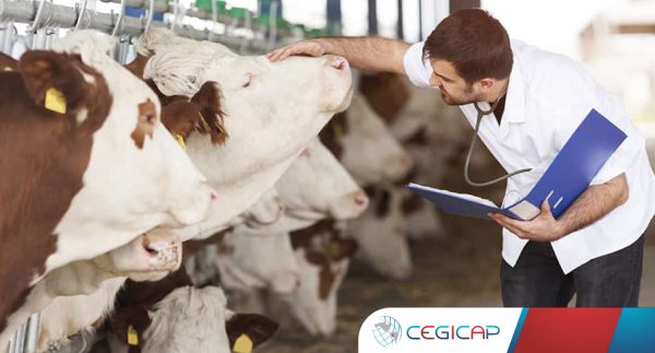 nutricion-veterinaria