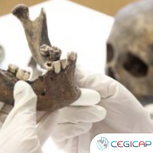 ODONTOLOGÍA FORENSE