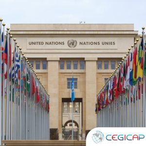 ARBITRAJE INTERNACIONAL Y LAS INVERSIONES