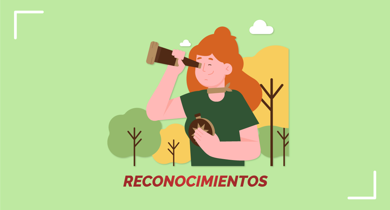 IDENTIFICACIÓN DE ESPECIES FORESTALES - Imagen 2