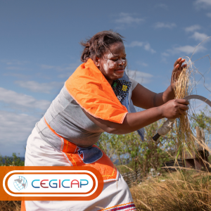 Interculturalidad y pueblos indígenas